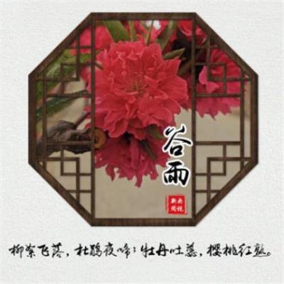 周晓枫经典句子：《你的身体是个仙境》…