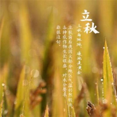 拟人句大全10字[24句] (花儿开了改为拟人句)