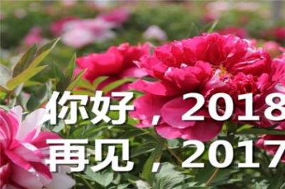 2022恭贺新春祝福语(30条)