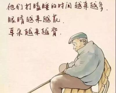 青春梦想励志动画短片