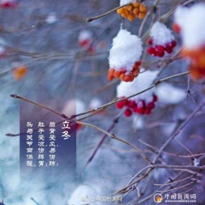 桃花拟人句怎么写三句(桃花开了改写成拟人句)