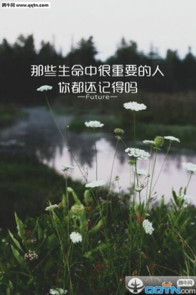 写给自己的霸气一段话(大学激励自己的一段话)