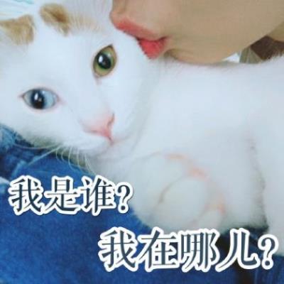 关于描写心理的句子10个字