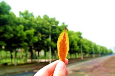 雨天唯美说说心情短语 下雨天的心情说说唯美句子