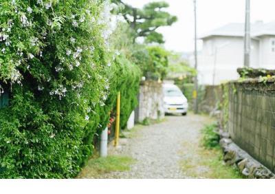 只要心里有美生活处处是美景