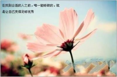 广西壮族三月三祝福语(24句)