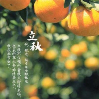 本年拜年经典拜年贺词[30句] (本年祝福语顺口溜简短)