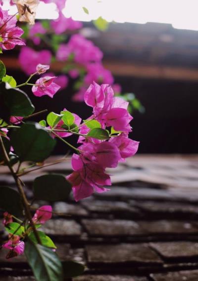 中秋节给家人的祝福短信