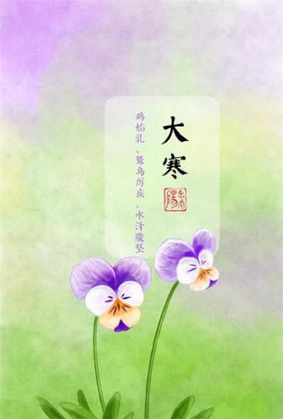 庆祝男宝宝满月祝福语60句